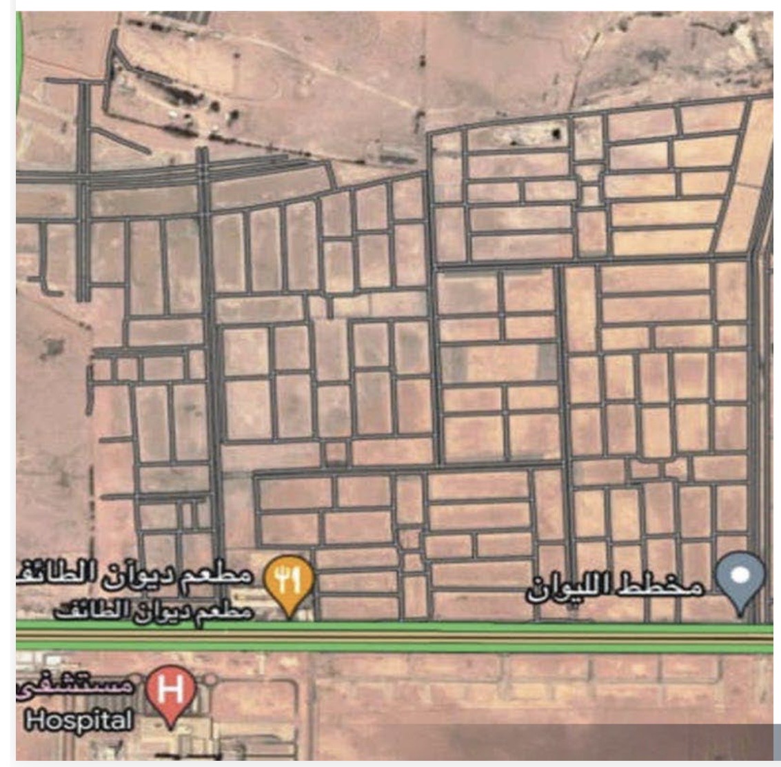 مخطط الليوان